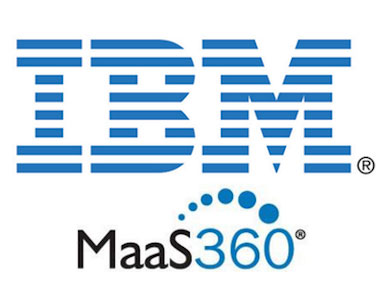 IBM