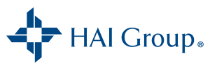 hai-group-logo